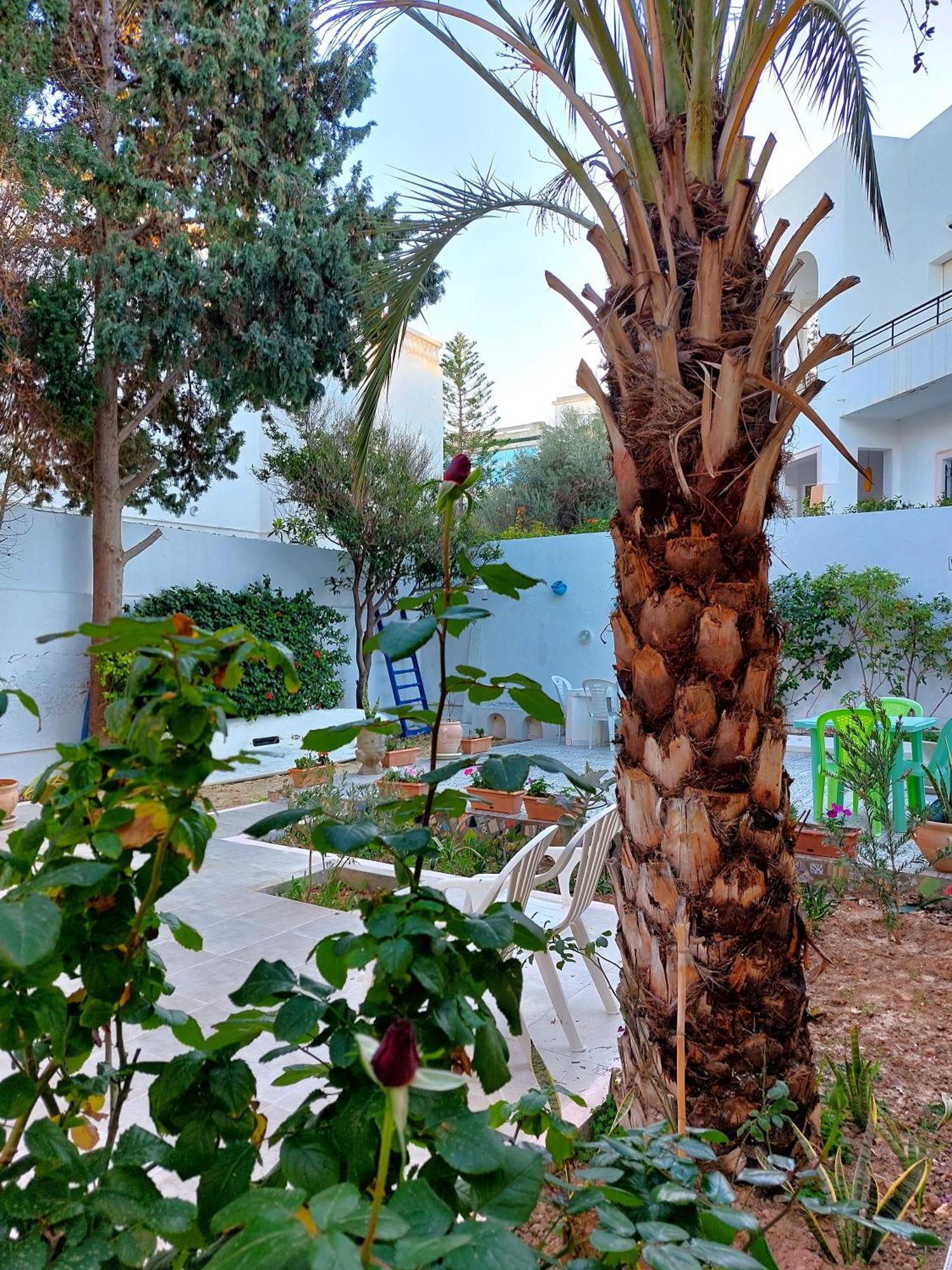 Villa Azaiiza 苏塞 外观 照片